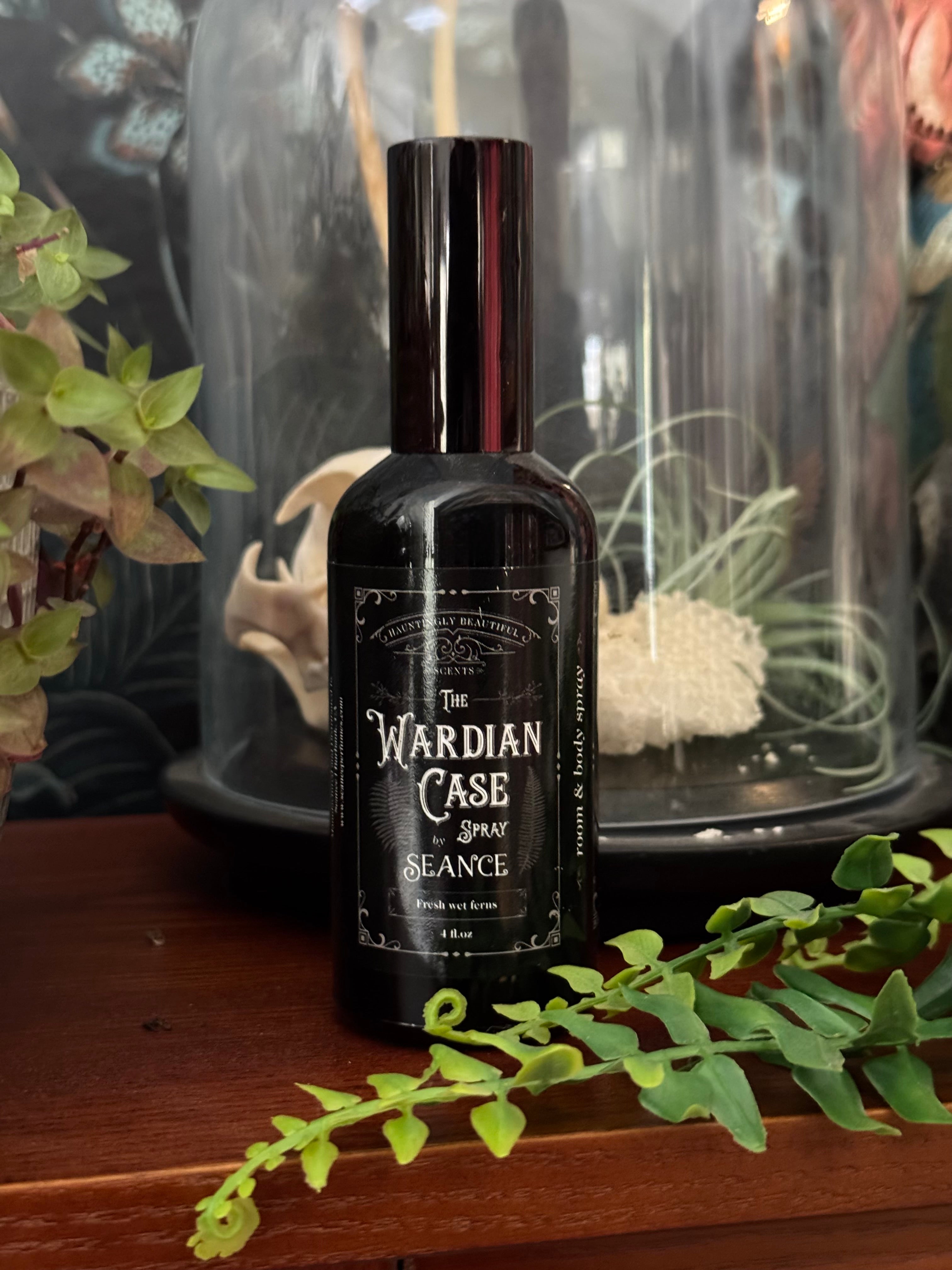 The Wardian Case spray- (fresh wet fern terrarium)