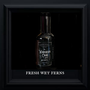 The Wardian Case spray- (fresh wet fern terrarium)